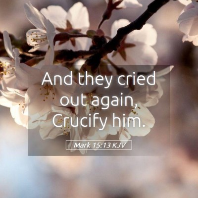 Picture 05 - Mark 15:13 KJV - And they cried out again, Crucify - Bible Verse Picture