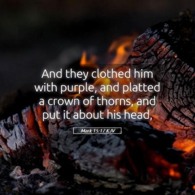 Picture 05 - Mark 15:17 KJV - And they clothed him with purple, and platted a - Bible Verse Picture