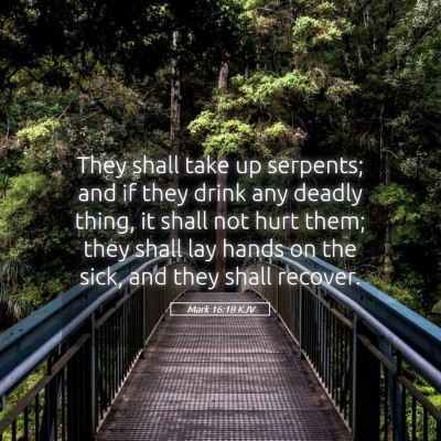 Picture 05 - Mark 16:18 KJV - They shall take up serpents; and if they drink - Bible Verse Picture