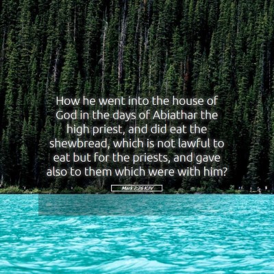 Picture 05 - Mark 2:26 KJV - How he went into the house of God in the days of - Bible Verse Picture
