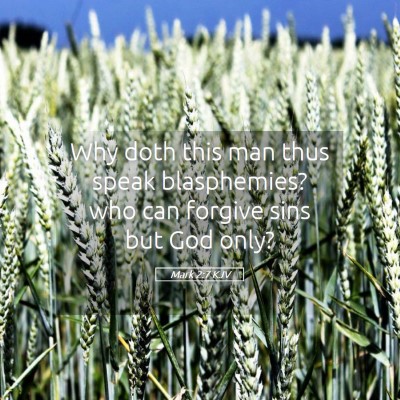 Picture 05 - Mark 2:7 KJV - Why doth this man thus speak blasphemies? who can - Bible Verse Picture