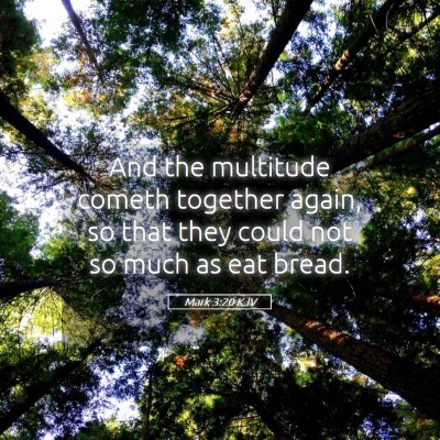 Picture 05 - Mark 3:20 KJV - And the multitude cometh together again, so that - Bible Verse Picture