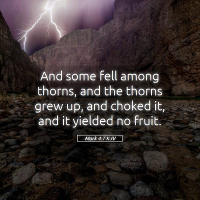 Picture 05 - Mark 4:7 KJV - And some fell among thorns, and the thorns grew - Bible Verse Picture