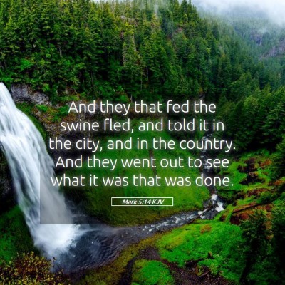 Picture 05 - Mark 5:14 KJV - And they that fed the swine fled, and told it in - Bible Verse Picture