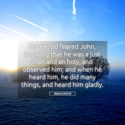 Picture 05 - Mark 6:20 KJV - For Herod feared John, knowing that he was a just - Bible Verse Picture