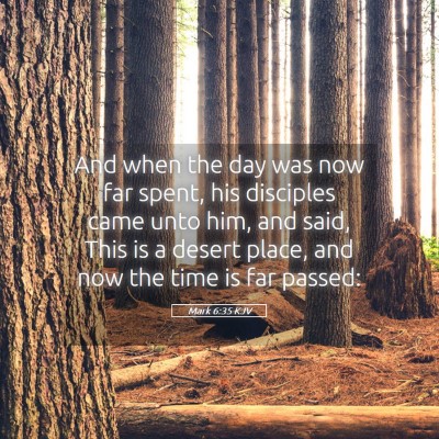 Picture 05 - Mark 6:35 KJV - And when the day was now far spent, his disciples - Bible Verse Picture