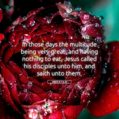 Picture 05 - Mark 8:1 KJV - In those days the multitude being very great, and - Bible Verse Picture