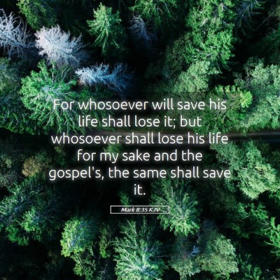 Picture 05 - Mark 8:35 KJV - For whosoever will save his life shall lose it; - Bible Verse Picture