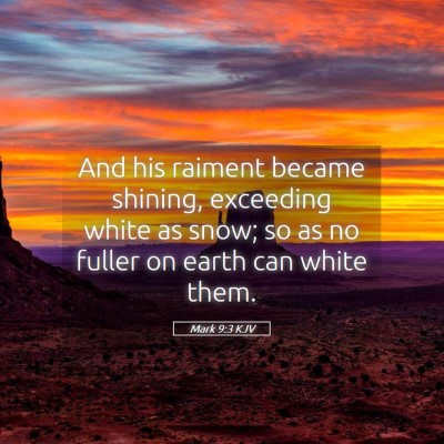 Picture 05 - Mark 9:3 KJV - And his raiment became shining, exceeding white - Bible Verse Picture