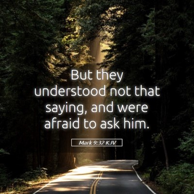 Picture 05 - Mark 9:32 KJV - But they understood not that saying, and were - Bible Verse Picture