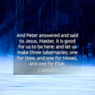 Picture 05 - Mark 9:5 KJV - And Peter answered and said to Jesus, Master, it - Bible Verse Picture
