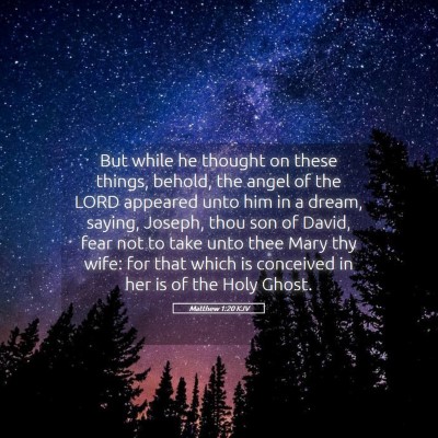 Picture 05 - Matthew 1:20 KJV - But while he thought on these things, behold, the - Bible Verse Picture