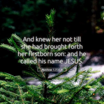 Picture 05 - Matthew 1:25 KJV - And knew her not till she had brought forth her - Bible Verse Picture