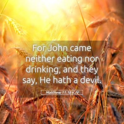 Picture 05 - Matthew 11:18 KJV - For John came neither eating nor drinking, and - Bible Verse Picture