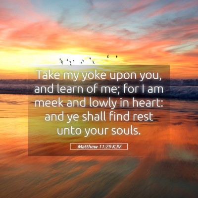 Picture 05 - Matthew 11:29 KJV - Take my yoke upon you, and learn of me; for I am - Bible Verse Picture