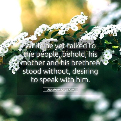 Picture 05 - Matthew 12:46 KJV - While he yet talked to the people, behold, his - Bible Verse Picture