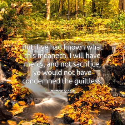 Picture 05 - Matthew 12:7 KJV - But if ye had known what this meaneth, I will - Bible Verse Picture
