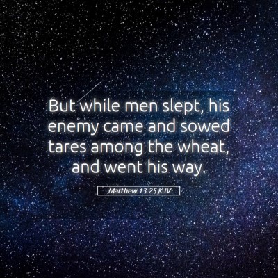 Picture 05 - Matthew 13:25 KJV - But while men slept, his enemy came and sowed - Bible Verse Picture