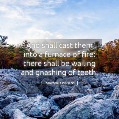 Picture 05 - Matthew 13:42 KJV - And shall cast them into a furnace of fire: there - Bible Verse Picture