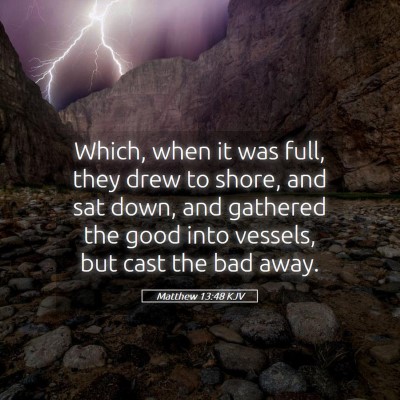 Picture 05 - Matthew 13:48 KJV - Which, when it was full, they drew to shore, and - Bible Verse Picture