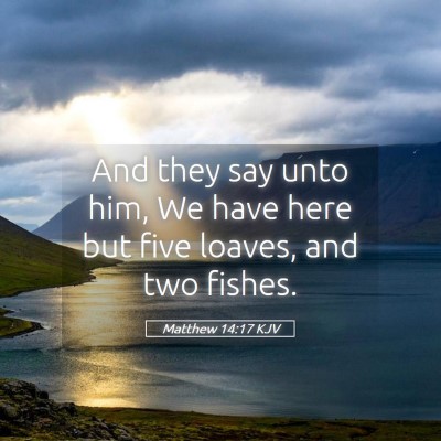Picture 05 - Matthew 14:17 KJV - And they say unto him, We have here but five - Bible Verse Picture