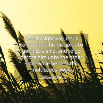Picture 05 - Matthew 14:22 KJV - And straightway Jesus constrained his disciples - Bible Verse Picture
