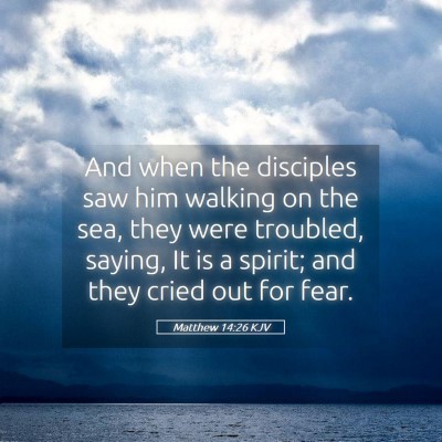 Picture 05 - Matthew 14:26 KJV - And when the disciples saw him walking on the - Bible Verse Picture