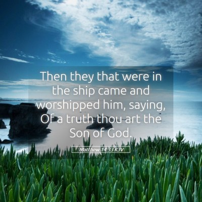Picture 05 - Matthew 14:33 KJV - Then they that were in the ship came and - Bible Verse Picture