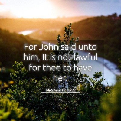 Picture 05 - Matthew 14:4 KJV - For John said unto him, It is not lawful for thee - Bible Verse Picture
