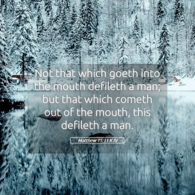 Picture 05 - Matthew 15:11 KJV - Not that which goeth into the mouth defileth a - Bible Verse Picture