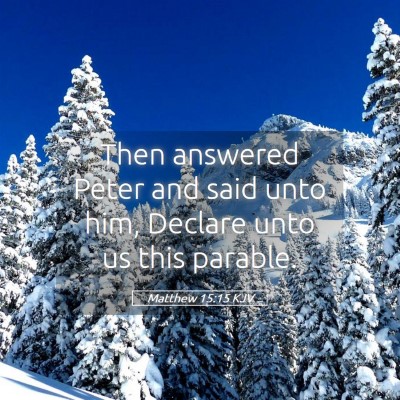 Picture 05 - Matthew 15:15 KJV - Then answered Peter and said unto him, Declare - Bible Verse Picture