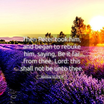 Picture 05 - Matthew 16:22 KJV - Then Peter took him, and began to rebuke him, - Bible Verse Picture