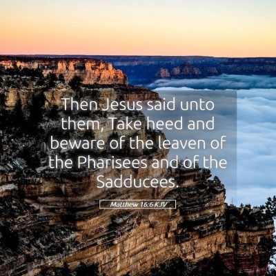 Picture 05 - Matthew 16:6 KJV - Then Jesus said unto them, Take heed and beware - Bible Verse Picture
