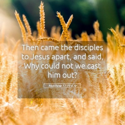 Picture 05 - Matthew 17:19 KJV - Then came the disciples to Jesus apart, and said, - Bible Verse Picture