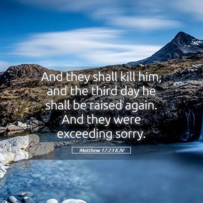 Picture 05 - Matthew 17:23 KJV - And they shall kill him, and the third day he - Bible Verse Picture