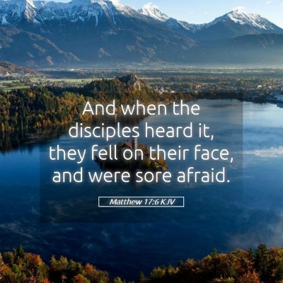 Picture 05 - Matthew 17:6 KJV - And when the disciples heard it, they fell on - Bible Verse Picture
