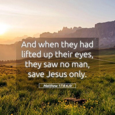 Picture 05 - Matthew 17:8 KJV - And when they had lifted up their eyes, they saw - Bible Verse Picture