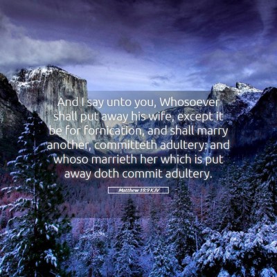 Picture 05 - Matthew 19:9 KJV - And I say unto you, Whosoever shall put away his - Bible Verse Picture