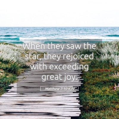 Picture 05 - Matthew 2:10 KJV - When they saw the star, they rejoiced with - Bible Verse Picture