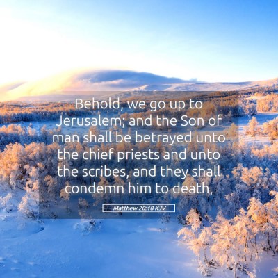 Picture 05 - Matthew 20:18 KJV - Behold, we go up to Jerusalem; and the Son of man - Bible Verse Picture