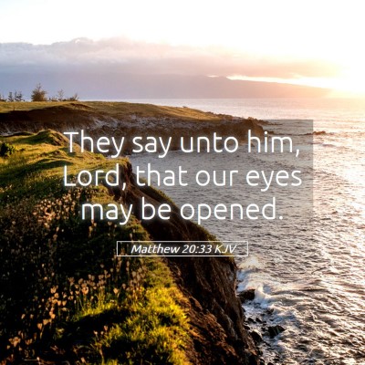 Picture 05 - Matthew 20:33 KJV - They say unto him, Lord, that our eyes may be - Bible Verse Picture