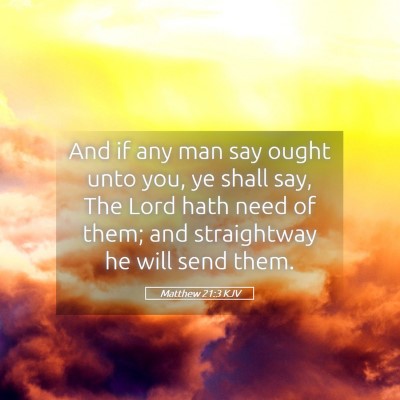 Picture 05 - Matthew 21:3 KJV - And if any man say ought unto you, ye shall say, - Bible Verse Picture