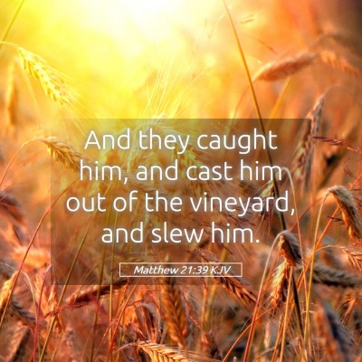 Picture 05 - Matthew 21:39 KJV - And they caught him, and cast him out of the - Bible Verse Picture