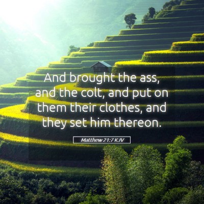 Picture 05 - Matthew 21:7 KJV - And brought the ass, and the colt, and put on - Bible Verse Picture