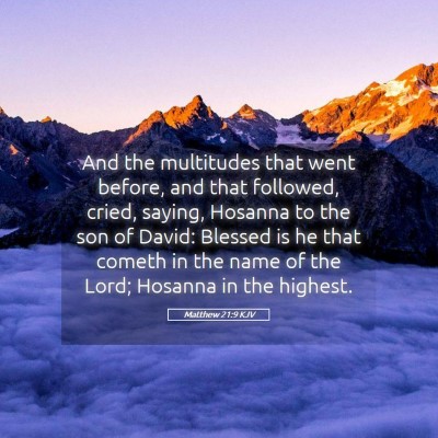 Picture 05 - Matthew 21:9 KJV - And the multitudes that went before, and that - Bible Verse Picture