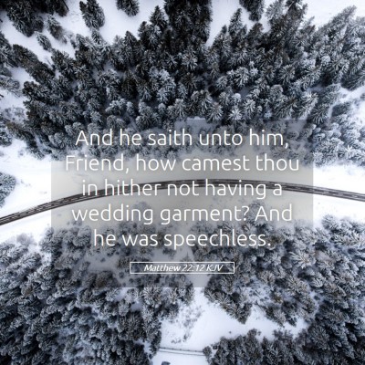 Picture 05 - Matthew 22:12 KJV - And he saith unto him, Friend, how camest thou in - Bible Verse Picture