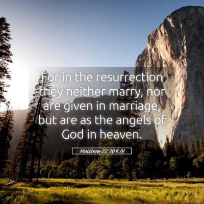 Picture 05 - Matthew 22:30 KJV - For in the resurrection they neither marry, nor - Bible Verse Picture
