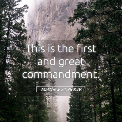Picture 05 - Matthew 22:38 KJV - This is the first and great - Bible Verse Picture