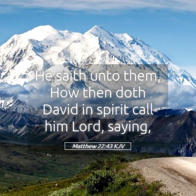 Picture 05 - Matthew 22:43 KJV - He saith unto them, How then doth David in spirit - Bible Verse Picture