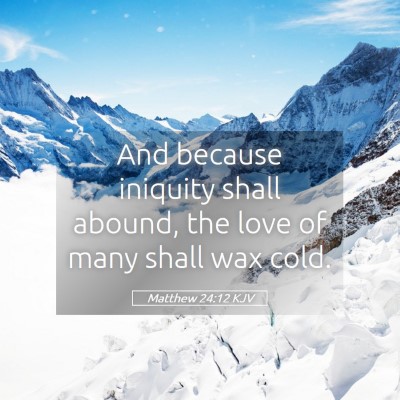 Picture 05 - Matthew 24:12 KJV - And because iniquity shall abound, the love of - Bible Verse Picture